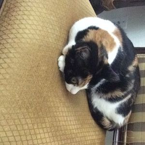 Meet your Posher, April